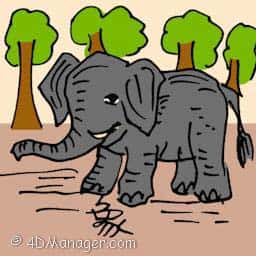 象 elephant