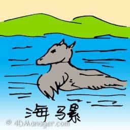 海驴 sea donkey