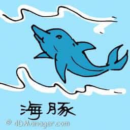 海豚 dolphin