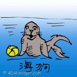 海豹 fur seal