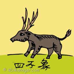 四不像 pere david's deer