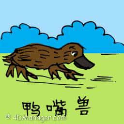 鸭嘴兽 duckbilled platypus