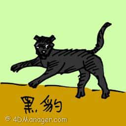 黑豹 black panthers