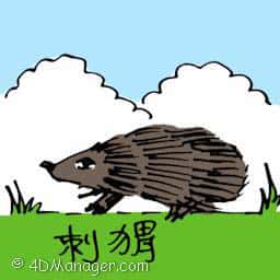 刺猬 hedgehog