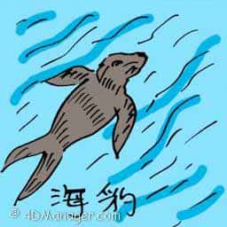 海豹 seal
