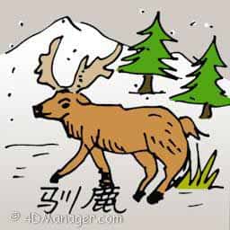 驯鹿 deer