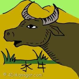 水牛 buffalo