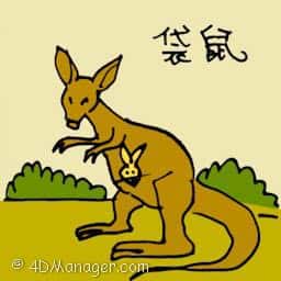 袋鼠 kangaroo