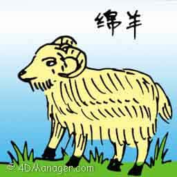 绵羊 sheep