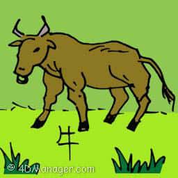 牛 ox