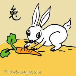 兔 rabbit