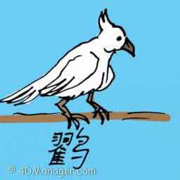 发膏 stork