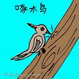 啄木鸟 woodpecker