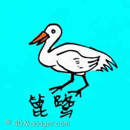簏鹭 white heron