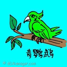 青鹦鹉 green parrot