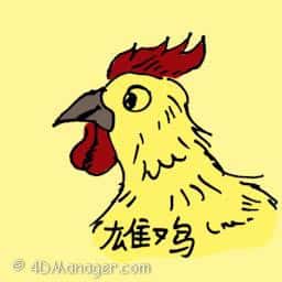 雄鸡 cockerel