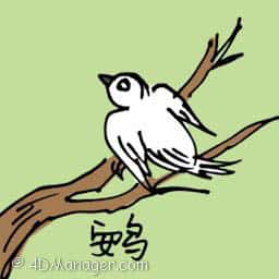 火鸡 quail