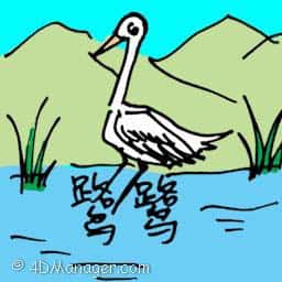 鹭鹭 grey heron