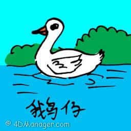 鹅仔 little gosling