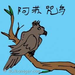 阿苏儿 brown bird