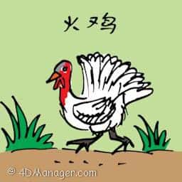 火鸡 turkey