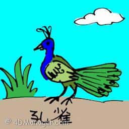 孔雀 peacock