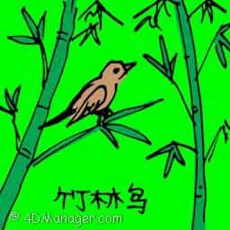 竹林鸟 bamboo bird