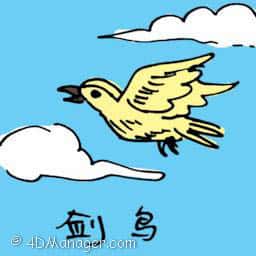 剑鸟 sword bird