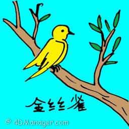 金丝雀 canary