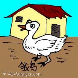 鹅 house goose