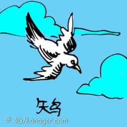大洋葱 bird flying