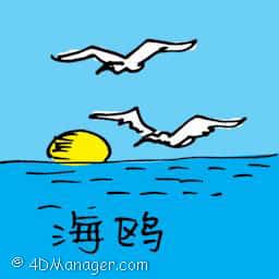 海鸥 sea gull