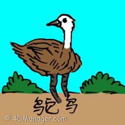 鸵鸟 ostrich