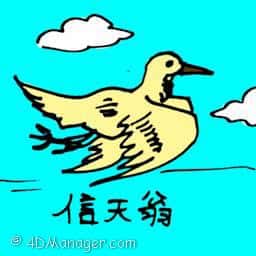 信天翁 albatross