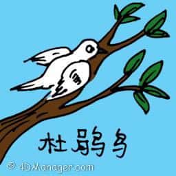 杜鹃 cuckoo