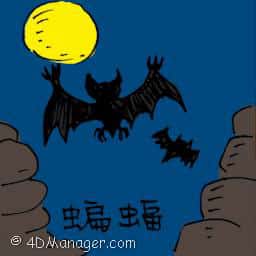 蝙蝠 bat