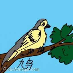 鸠 turtle dove