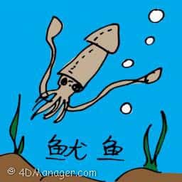 鱿鱼 squid