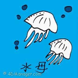 海蜇 jellyfish