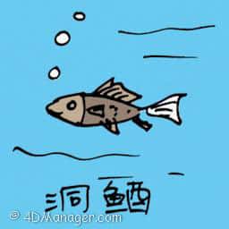洞鱼 brown sea fish