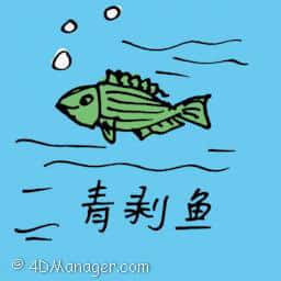 青剥鱼 chinese green fish