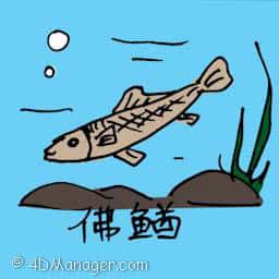 佛? river brown fish
