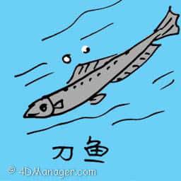 刀鱼 saury fish