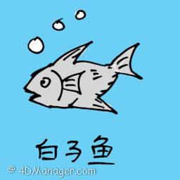 白子鱼 white albino fish