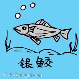 银鲛 silver chimaera