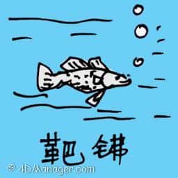 孔雀鱼 white herring