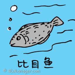 比目鱼 flounder fish