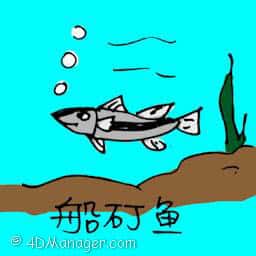 船丁鱼 northern whiting fish