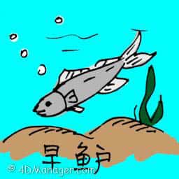 早鲈 perch fish