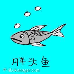 胖头鱼 big-head fish